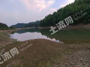 安庆望江县 200亩 综合养殖用地（可种草皮） 经营权出租