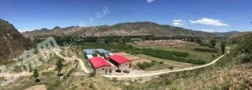 张家口崇礼区 5亩 农场 使用权出租