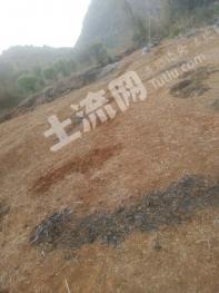 清远连州市2000亩其它 耕地 经营权出租