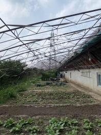 辽宁营口 2亩 其它耕地温室大棚 转让