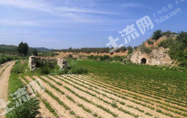 葫芦岛连山区 15亩 荒地 使用权出租