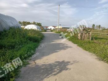 芜湖无为县 700亩 水田 经营权合作