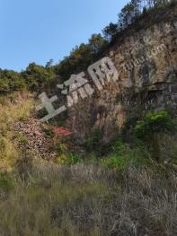 清远佛冈县 166.04亩 有林地 经营权转让或出租