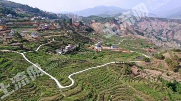 四川凉山普格县600亩桑葚园 经营权转让