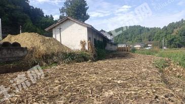 绵阳盐亭县2000平米农家庭院使用权出租