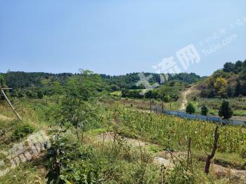 黄冈红安县 68.58亩 综合养殖用地 经营权出租