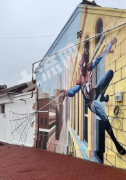 天津武清區(qū) 300平方米 農(nóng)村宅基地 使用權(quán)出租