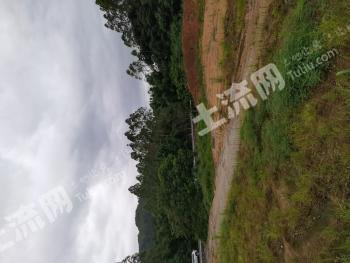 南宁宾阳县 12亩 工业用地 使用权转让