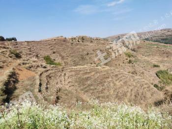 曲靖富源县 400亩 荒山 合作