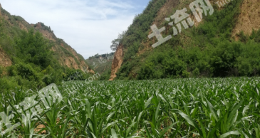 渭南白水县 100亩 其它林地 经营权出租