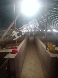 济宁曲阜市10亩畜牧养殖用地经营权转让