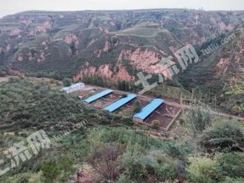 吕梁岚县1757.52亩林地-有林地转让