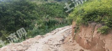 安徽池州青阳县 960亩 有林地 经营权转让