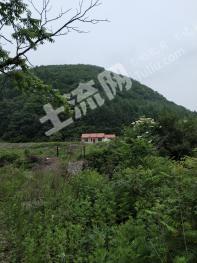 抚顺新宾满族自治县 27.59亩 果园经营权 转让