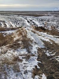 齐齐哈尔富裕县750亩人工草地出租