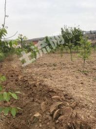 兰州七里河区 15亩 空闲地 使用权出租