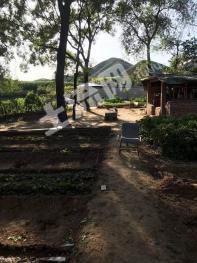 北京密云区 2948平米 农村宅基地 使用权出租