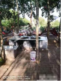 赤峰松山区40亩设施农用地经营权转让