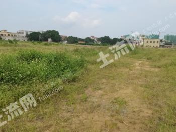 湛江湛江经济技术开发区 9亩 其它林地 出租