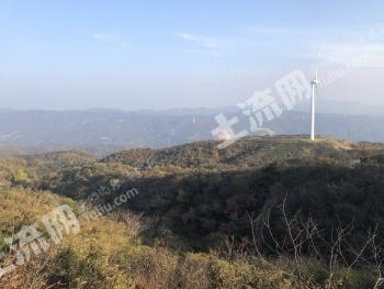随州广水市 650.05亩 乔木林地 经营权转让