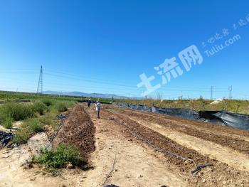 固原原州区 30亩 综合养殖用地 经营权转让