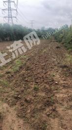 咸阳乾县5亩耕地-旱地转让