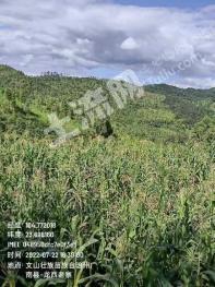 文山广南县3500亩其它草地经营权转让