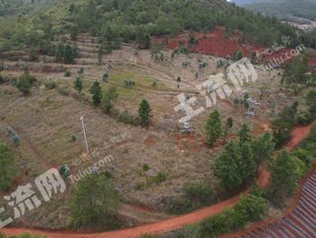 玉溪易门县 26.8亩 果园经营权 转包