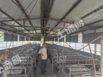 南充嘉陵区 25亩养殖用地 经营权转让