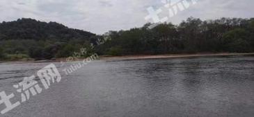 宜春宜丰县 324.17亩 农场 使用权出租