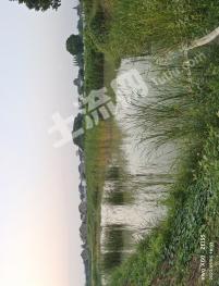 苏州常熟市50亩水产养殖用地经营权转让