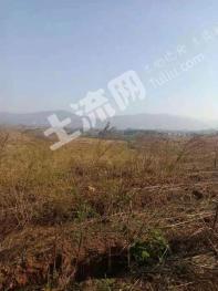 清远连州市 3850亩 荒山 经营权出租