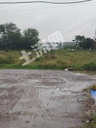 泰州兴化市 15亩 其它耕地 经营权出租