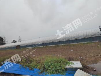 泰州兴化市 11.49亩 畜牧养殖用地 经营权转让