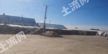 呼伦贝尔海拉尔区 3500亩 旱地 经营权转让