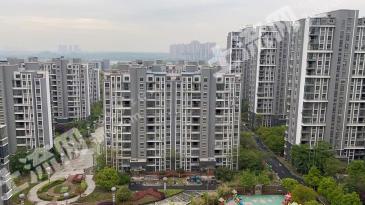 滁州南谯区84平米城镇住宅用地使用权出让