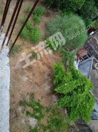 湛江廉江市 1227平米 农村宅基地 使用权出租