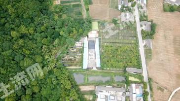 德陽(yáng)綿竹市10734平米度假山莊 經(jīng)營(yíng)權(quán)出租