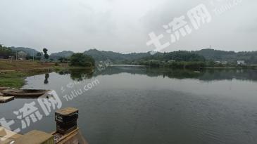 绵阳涪城区108亩水库经营权转让