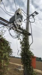 开封龙亭区160亩水浇地经营权出租