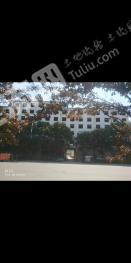 河南驻马店11545平米商服用地综合用地 附带一栋7层楼房使用权转让