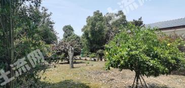 直辖行政单位仙桃市 2146.44亩 有林地 经营权出租/转让/出租