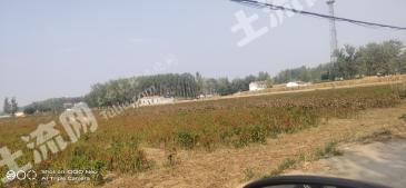 济宁嘉祥县18亩水浇地经营权出租