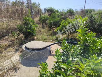 黄冈浠水县 38亩 果园 经营权转让