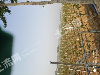 河北唐山玉田县120亩果园经营权转包