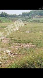 南宁邕宁区20亩空闲用地使用权出租
