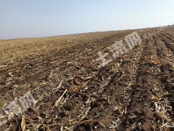 兴安盟扎赉特旗100亩旱地经营权出租