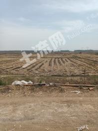 辽宁盘锦 600亩 水田（稻虾 稻蟹）经营权 出租