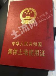 四平伊通滿族自治縣 330平方米 農(nóng)村宅基地 使用權(quán)出租