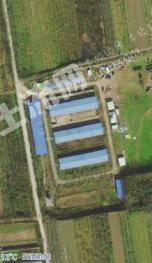 咸阳礼泉县 38.82亩 综合养殖用地 经营权出租